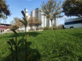 Akabe TOKİ sağlık ocağı yanı 3+1 Ultra Lüx 187m² City Park Evler